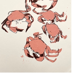 https://www.larascouller.com/files/dimgs/thumb_1x250_2_24_90.jpg