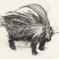 https://www.larascouller.com/files/gimgs/th-17_Indian-crested-porcupine-sm_v2.jpg