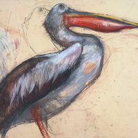https://www.larascouller.com/files/gimgs/th-17_australian-pelican-2011.jpg