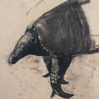 https://www.larascouller.com/files/gimgs/th-17_giant-armadillo-2011-sm.jpg