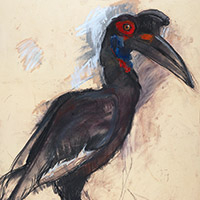 https://www.larascouller.com/files/gimgs/th-17_ground-hornbill-2011-sm.jpg