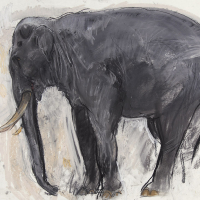 https://www.larascouller.com/files/gimgs/th-17_sir-roger-the-elephant.jpg