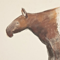 https://www.larascouller.com/files/gimgs/th-17_tapir-2012-sm.jpg