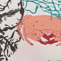 https://www.larascouller.com/files/gimgs/th-24_fragile_oceanSM.jpg