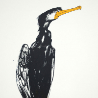 https://www.larascouller.com/files/gimgs/th-24_orange-cormorant-small.jpg