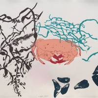 https://www.larascouller.com/files/gimgs/th-24_shore.jpg