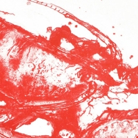 https://www.larascouller.com/files/gimgs/th-24_smIMG_8285_v2.jpg