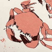 https://www.larascouller.com/files/gimgs/th-24_smlittlenippersprint_v2.jpg