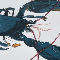 https://www.larascouller.com/files/gimgs/th-24_two_lobsts_SM.jpg