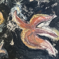https://www.larascouller.com/files/gimgs/th-30_smIMG_starfish.jpg