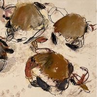 https://www.larascouller.com/files/gimgs/th-30_smwebVelvetCrabs.jpg