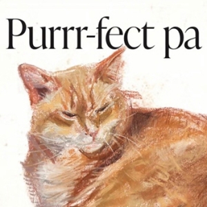 https://www.larascouller.com/files/gimgs/th-4_AandI_CatSM.jpg