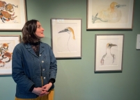 https://www.larascouller.com/files/gimgs/th-5_me_gannet.jpg